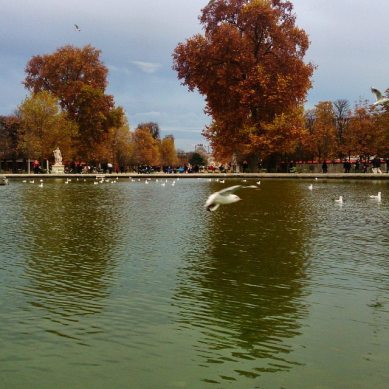 12239729_10153756640234182_5615216784832977380_n