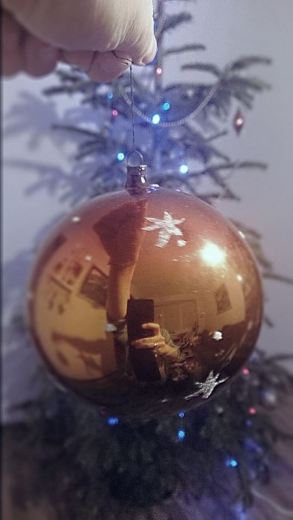 10920926_10153064215704182_4867941200026232268_n