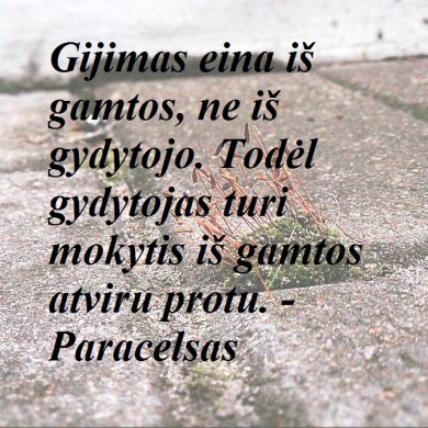 10305184_10153432438964182_5511660726938146651_n