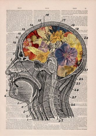 29646445b426e0802a26c07391a5e3cf