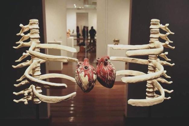 29066982_1118266164978438_7410399916728576863_n